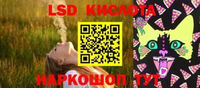 тгк Новозыбков