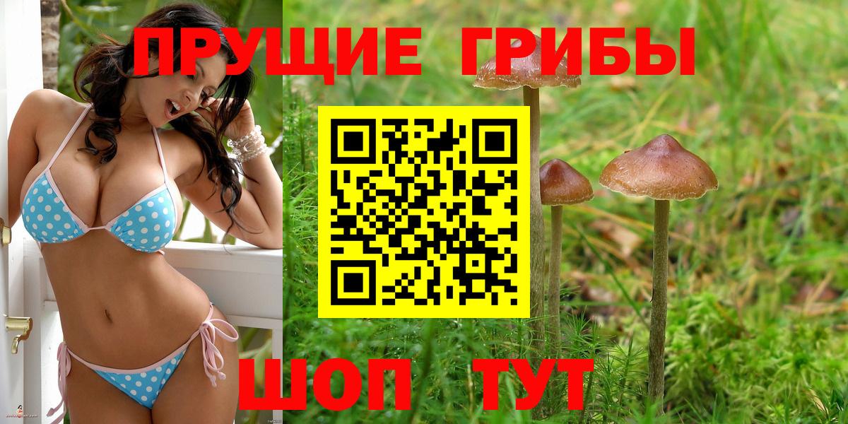 Галлюциногенные грибы мухоморы Альметьевск