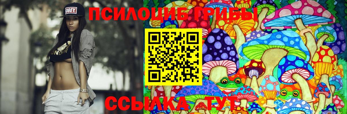 Псилоцибиновые грибы мухоморы  Вход с VPN  Альметьевск 